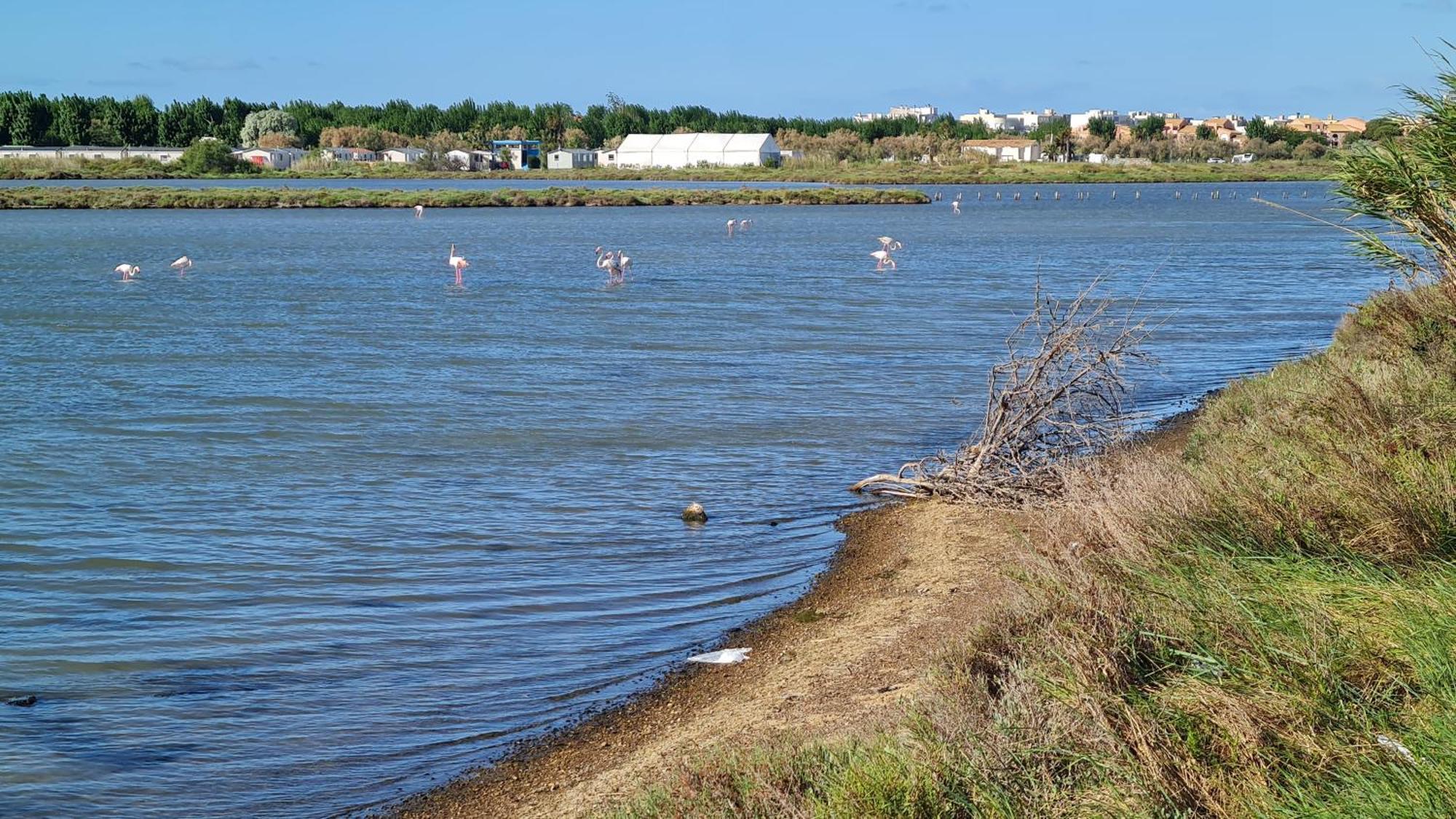 Mobilhome Au Camping Les Salins De La Gardiole Ex Camping Europe Vic-la-Gardiole Exteriör bild